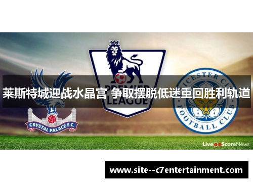莱斯特城迎战水晶宫 争取摆脱低迷重回胜利轨道