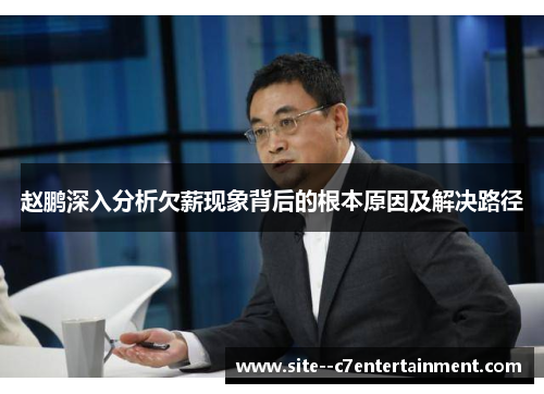 赵鹏深入分析欠薪现象背后的根本原因及解决路径 赵鹏深入分析欠薪现象背后的根本原因及解决路径
