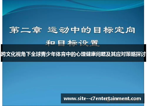 跨文化视角下全球青少年体育中的心理健康问题及其应对策略探讨