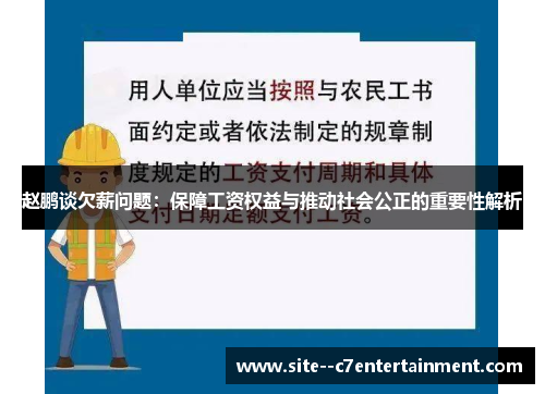 赵鹏谈欠薪问题：保障工资权益与推动社会公正的重要性解析