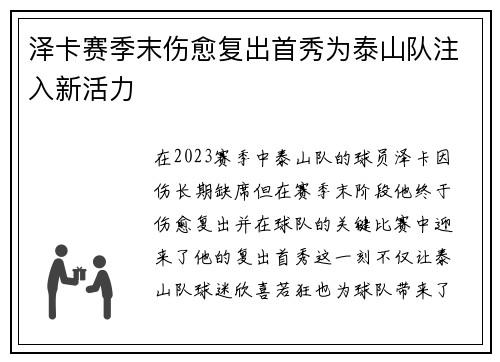 泽卡赛季末伤愈复出首秀为泰山队注入新活力 泽卡赛季末伤愈复出首秀为泰山队注入新活力